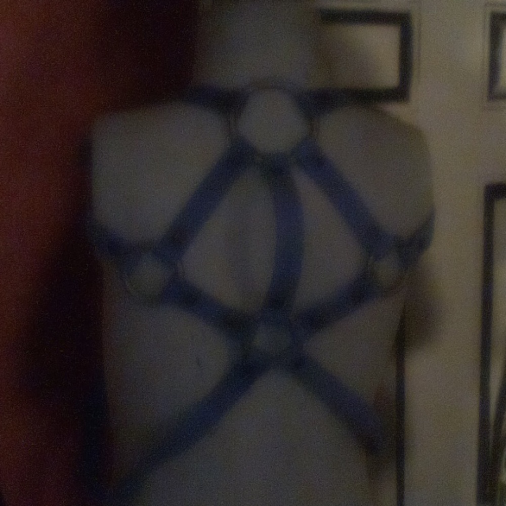 Free people harness